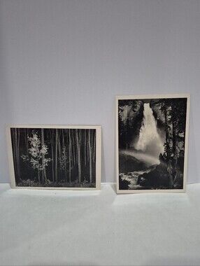 Vintage Ansel Adams Postcards Prints Pictures Lot Yosemite & Aspens